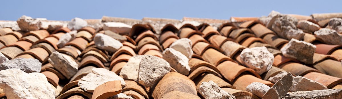 Whole House Inspections